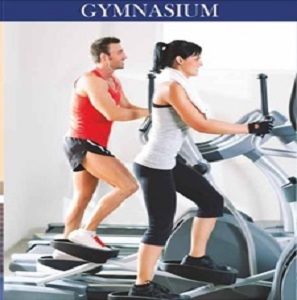 Gymnasium